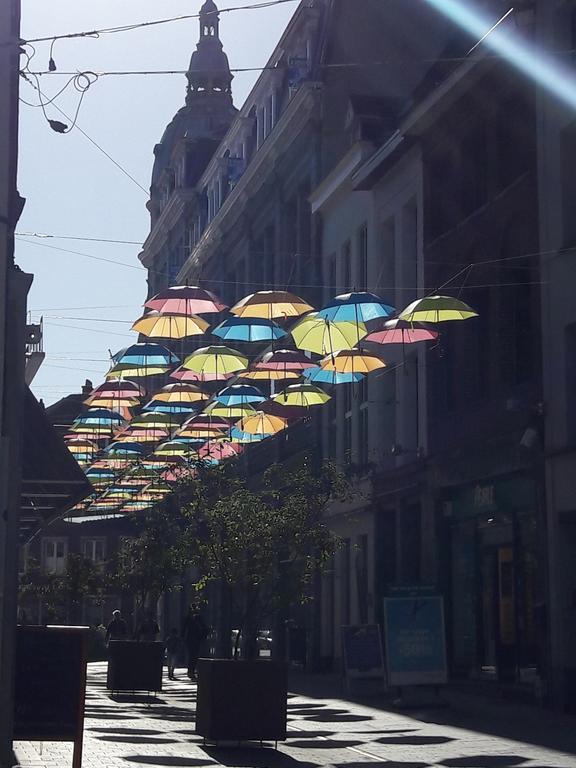 Lille Centre Ville, Beaux Arts Et Grand Palais, Bienvenue Chez Nestyou Lille Kültér fotó