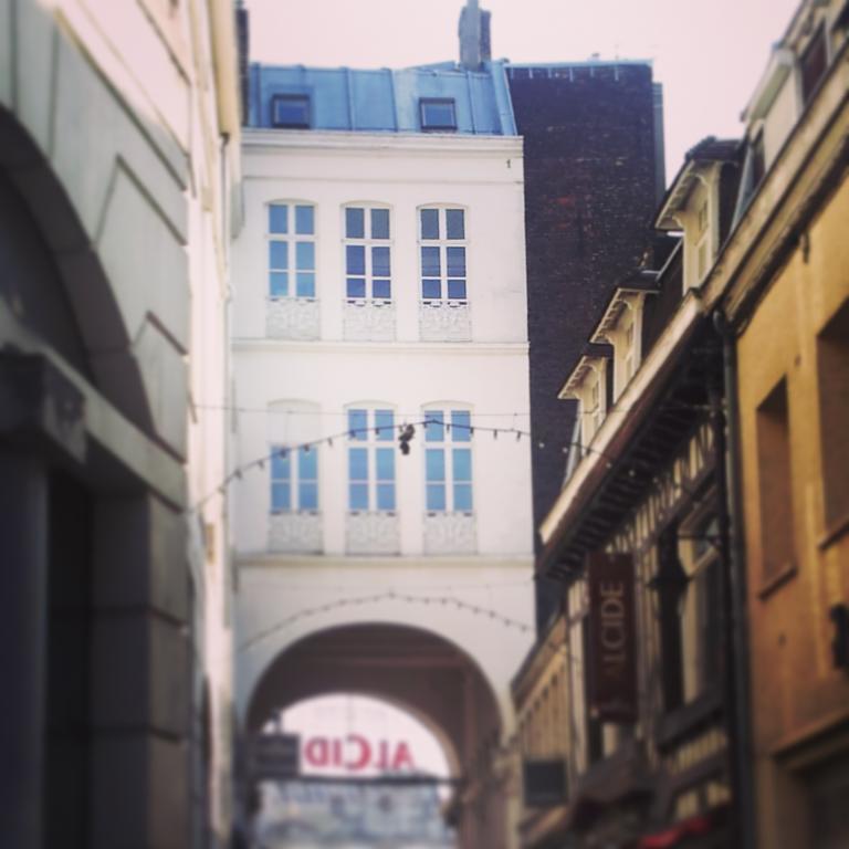 Lille Centre Ville, Beaux Arts Et Grand Palais, Bienvenue Chez Nestyou Lille Kültér fotó